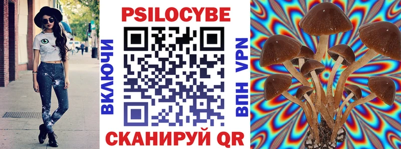 Купить где  Чердынь  Галлюциногенные грибы MAGIC MUSHROOMS 